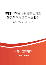中国LNG储气瓶组市场调查研究与前景趋势分析报告（2025-2031年）
