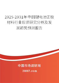 2025-2031年中国锂电池正极材料行业现状研究分析及发展趋势预测报告