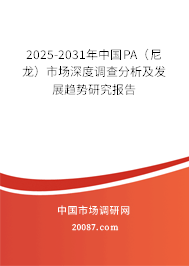 2025-2031年中国PA（尼龙）市场深度调查分析及发展趋势研究报告