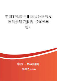 中国TPMS行业现状分析与发展前景研究报告（2025年版）