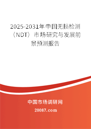 2025-2031年中国无损检测（NDT）市场研究与发展前景预测报告