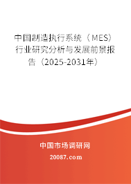 中国制造执行系统（MES）行业研究分析与发展前景报告（2025-2031年）