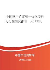 中国漂白竹浆纸一体化项目可行性研究报告（2013年）