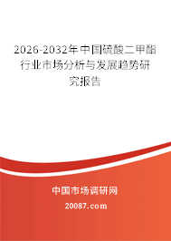 2026-2032年中国硫酸二甲酯行业市场分析与发展趋势研究报告 2026-2032年中国硫酸二甲酯行业市场分析与发展趋势研究报告