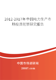 2012-2017年中国电力生产市场投资前景研究报告