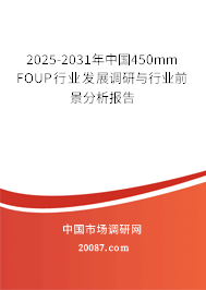 2025-2031年中国450mm FOUP行业发展调研与行业前景分析报告 2025-2031年中国450mm FOUP行业发展调研与行业前景分析报告