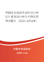 中国非金属超声波检测分析仪行业发展分析与市场前景预测报告（2025-2031年）