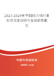 2023-2029年中国扭力机行业现状深度调研与发展趋势报告