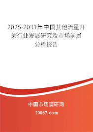 2025-2031年中国其他流量开关行业发展研究及市场前景分析报告
