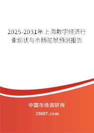 2025-2031年上海数字经济行业现状与市场前景预测报告