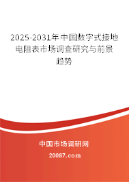 2025-2031年中国数字式接地电阻表市场调查研究与前景趋势