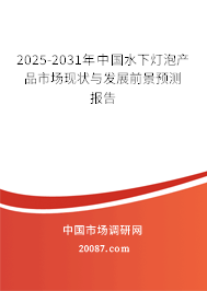 2025-2031年中国水下灯泡产品市场现状与发展前景预测报告