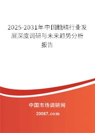 2025-2031年中国糖精行业发展深度调研与未来趋势分析报告 2025-2031年中国糖精行业发展深度调研与未来趋势分析报告