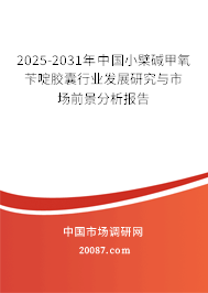 2025-2031年中国小檗碱甲氧苄啶胶囊行业发展研究与市场前景分析报告