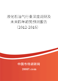 液化石油气行业深度调研及未来四年趋势预测报告（2012-2016）