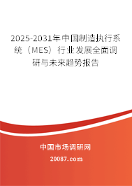 2025-2031年中国制造执行系统（MES）行业发展全面调研与未来趋势报告