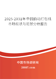 2025-2031年中国自动打包机市场现状与前景分析报告