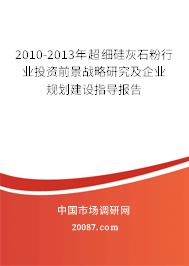 2010-2013年超细硅灰石粉行业投资前景战略研究及企业规划建设指导报告