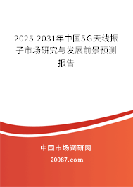 2025-2031年中国5G天线振子市场研究与发展前景预测报告