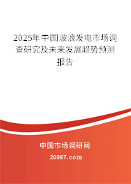 2025年中国波浪发电市场调查研究及未来发展趋势预测报告
