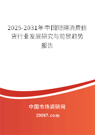 2025-2031年中国短期消费信贷行业发展研究与前景趋势报告