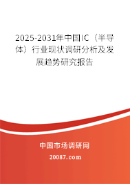 2025-2031年中国IC(半导体)行业现状调研分析及发展趋势研究报告 2025-2031年中国IC(半导体)行业现状调研分析及发展趋势研究报告