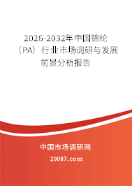 2026-2032年中国锦纶（PA）行业市场调研与发展前景分析报告