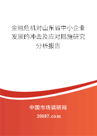 金融危机对山东省中小企业发展的冲击及应对措施研究分析报告 金融危机对山东省中小企业发展的冲击及应对措施研究分析报告