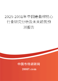 2025-2031年中国卷曲棉枕心行业研究分析及未来趋势预测报告