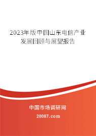 2023年版中国山东电信产业发展回顾与展望报告 2023年版中国山东电信产业发展回顾与展望报告