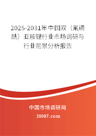 2025-2031年中国双(氟磺酰)亚胺锂行业市场调研与行业前景分析报告 2025-2031年中国双(氟磺酰)亚胺锂行业市场调研与行业前景分析报告
