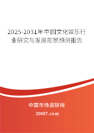 2025-2031年中国文化娱乐行业研究与发展前景预测报告