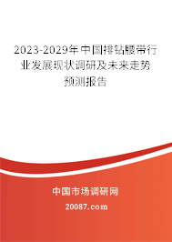 2023-2029年中国排钻腰带行业发展现状调研及未来走势预测报告