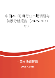 中国API闸阀行业市场调研与前景分析报告（2025-2031年）