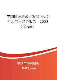 中国摆锤测试仪发展现状分析及前景趋势报告(2022-2028年) 中国摆锤测试仪发展现状分析及前景趋势报告(2022-2028年)
