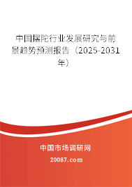 中国摆陀行业发展研究与前景趋势预测报告（2025-2031年）
