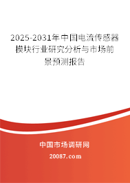 2025-2031年中国电流传感器模块行业研究分析与市场前景预测报告 2025-2031年中国电流传感器模块行业研究分析与市场前景预测报告