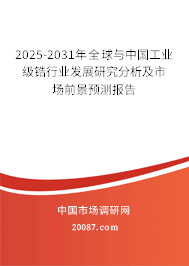 2025-2031年全球与中国工业级锆行业发展研究分析及市场前景预测报告 2025-2031年全球与中国工业级锆行业发展研究分析及市场前景预测报告