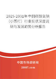 2025-2031年中国碳酸氢钠（小苏打）行业现状深度调研与发展趋势分析报告