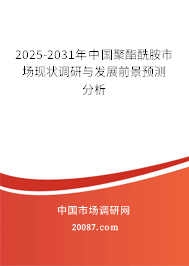 2025-2031年中国聚酯酰胺市场现状调研与发展前景预测分析