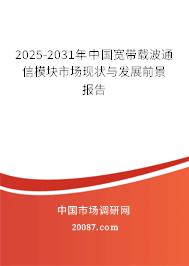 2025-2031年中国宽带载波通信模块市场现状与发展前景报告