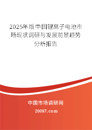 2025年版中国锂离子电池市场现状调研与发展前景趋势分析报告