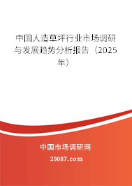 中国人造草坪行业市场调研与发展趋势分析报告（2025年）