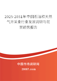2025-2031年中国石油和天然气开采业行业发展调研与前景趋势报告