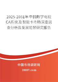 2025-2031年中国数字电视CA系统及智能卡市场深度调查分析及发展前景研究报告