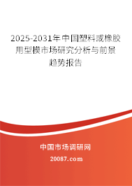 2025-2031年中国塑料或橡胶用型模市场研究分析与前景趋势报告 2025-2031年中国塑料或橡胶用型模市场研究分析与前景趋势报告