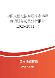 中国天鹅绒按摩短袜市场深度调研与前景分析报告（2025-2031年）