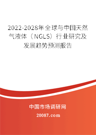 2022-2028年全球与中国天然气液体（NGLS）行业研究及发展趋势预测报告