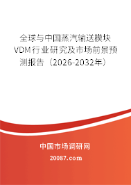 全球与中国蒸汽输送模块VDM行业研究及市场前景预测报告（2026-2032年）