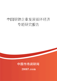 中国钢铁企业发展循环经济专题研究报告